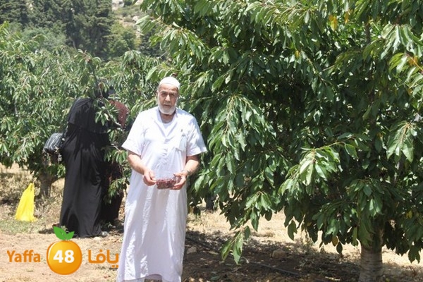 bayareq re7la shamal 0612 (61).JPG